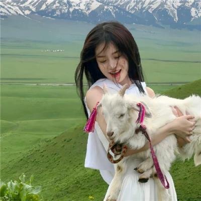 黑猫警长之翡翠之星
