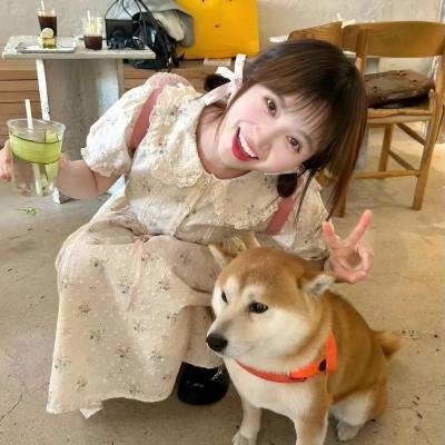 中华小当家
